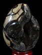 Septarian Dragon Egg Geode - Crystal Filled #37444-2